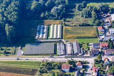 Vue aérienne de Crèche sur Friedrichstr à le quartier Liedolsheim in Dettenheim dans le département Bade-Wurtemberg, Allemagne
