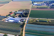 Marché fermier de Zapf à Kandel dans le département Rhénanie-Palatinat, Allemagne vue du ciel