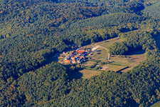 Pension pour chevaux au monastère de Liebfrauenberg à Bad Bergzabern dans le département Rhénanie-Palatinat, Allemagne hors des airs