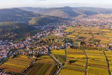 Vue aérienne de Vignobles dans le quartier de Hambach à le quartier Hambach an der Weinstraße in Neustadt an der Weinstraße dans le département Rhénanie-Palatinat, Allemagne