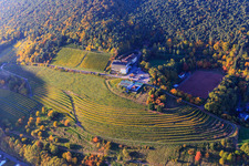 Vue aérienne de Hôtel Arens à 327 m d'altitude entre forêt, terrain de sport Sankt Martin et vignes herbacées colorées à le quartier SaintMartin in Sankt Martin dans le département Rhénanie-Palatinat, Allemagne