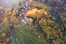 Vue aérienne de Le château de Kropsburg aux couleurs d'automne vu de l'est à le quartier SaintMartin in Sankt Martin dans le département Rhénanie-Palatinat, Allemagne