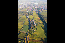 Vue aérienne de Paysage viticole des zones viticoles du district de peuplement à Edenkoben dans le département Rhénanie-Palatinat, Allemagne