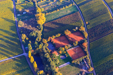 Vue aérienne de Terrains de jeux du Tennisclub Modenbachtal à Hainfeld dans le département Rhénanie-Palatinat, Allemagne
