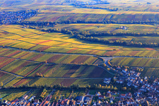Vue aérienne de Lumière d'automne colorée des vignes des vignobles jusqu'à Ilbesheim à le quartier Ilbesheim in Ilbesheim bei Landau in der Pfalz dans le département Rhénanie-Palatinat, Allemagne