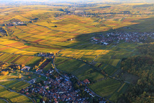 Vue aérienne de Hôtel Leinsweiler Hof entre vignobles automnaux et colorés à Leinsweiler dans le département Rhénanie-Palatinat, Allemagne