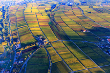 Photographie aérienne de Hôtel Leinsweiler Hof entre vignobles automnaux et colorés à Leinsweiler dans le département Rhénanie-Palatinat, Allemagne