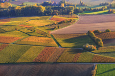 Lumière d'automne, vignes colorées des vignobles jusqu'à Oberhausen à le quartier Drusweiler in Kapellen-Drusweiler dans le département Rhénanie-Palatinat, Allemagne