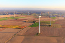 Image drone de Parc éolien de Minfeld à Minfeld dans le département Rhénanie-Palatinat, Allemagne