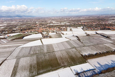 Quartier Ingenheim in Billigheim-Ingenheim dans le département Rhénanie-Palatinat, Allemagne d'un drone