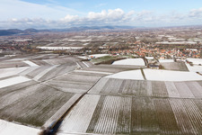 Quartier Ingenheim in Billigheim-Ingenheim dans le département Rhénanie-Palatinat, Allemagne vu d'un drone