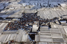 Vue aérienne de Vue d'un village viticole en hiver entre des vignes enneigées depuis le nord à Böchingen dans le département Rhénanie-Palatinat, Allemagne