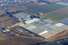 Vue oblique de Bickenbach dans le département Hesse, Allemagne