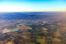 Vue aérienne de Vue de la ville depuis le nord-ouest avec en arrière-plan l'Odenwald et Melibokus à le quartier Sandwiese in Alsbach-Hähnlein dans le département Hesse, Allemagne