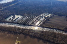 Vue aérienne de Forêts inondées de plaines inondables à Micheslbach/Altrhein à Hördt dans le département Rhénanie-Palatinat, Allemagne