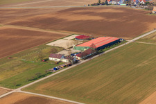 Vue oblique de Centre équestre Fohlenhof à Steinweiler dans le département Rhénanie-Palatinat, Allemagne