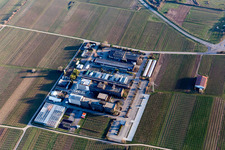 Vue aérienne de RLP Agroscience à le quartier Mußbach in Neustadt an der Weinstraße dans le département Rhénanie-Palatinat, Allemagne