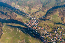 Vue aérienne de Vignobles de la Forêt-Noire à le quartier Liehenbach in Bühlertal dans le département Bade-Wurtemberg, Allemagne