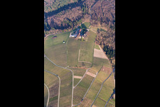Vue aérienne de Vignobles du domaine viticole de Nägelsförst - Paysage des régions viticoles à le quartier Varnhalt in Baden-Baden dans le département Bade-Wurtemberg, Allemagne
