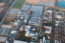 Vue aérienne de Zone industrielle et commerciale sur l'A5 avec IHLE tires GmbH à Muggensturm dans le département Bade-Wurtemberg, Allemagne
