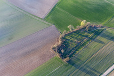 Vue aérienne de Ancien cimetière juif à Trimbach dans le département Bas Rhin, France