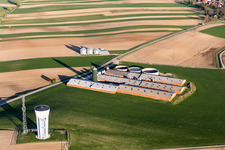 Vue aérienne de Porcheries dans la cour d'une ferme, au bord des champs cultivés à Wintzenbach dans le département Bas Rhin, France