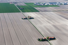 Vue aérienne de Zecchetto dans le département Vénétie, Italie