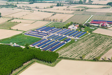 Vue aérienne de Propriété d'une ferme Azienda Agricola S. Fosca Di Gemin Armido & CSS à Savorgnano à San Vito al Tagliamento dans le département Pordenone, Italie
