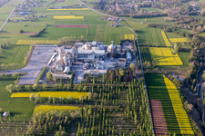 Borgo Ampiano dans le département Frioul-Vénétie Julienne, Italie d'en haut