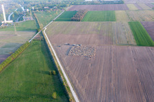 Vue aérienne de San Leonardo dans le département Frioul-Vénétie Julienne, Italie