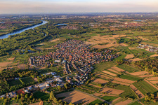 Vue aérienne de Vue d'ensemble des prairies rhénanes depuis le sud-ouest à Au am Rhein dans le département Bade-Wurtemberg, Allemagne