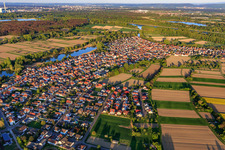 Vue aérienne de Vue du village dans les prairies du Rhin depuis l'ouest à le quartier Neuburg in Neuburg am Rhein dans le département Rhénanie-Palatinat, Allemagne