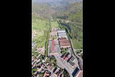 Zinswiller dans le département Bas Rhin, France vue du ciel