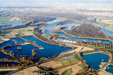 Vue aérienne de Kuhuntersee et Angelhofer Althrein à Speyer dans le département Rhénanie-Palatinat, Allemagne