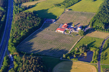 Vue aérienne de Domaine viticole Behringer à Abtswind dans le département Bavière, Allemagne