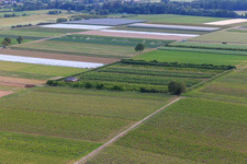 Vue aérienne de Le verger d'Eier-Meier à Winden dans le département Rhénanie-Palatinat, Allemagne