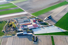 Vue aérienne de Au Brünnel à Waldsee dans le département Rhénanie-Palatinat, Allemagne