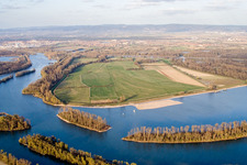 Vue aérienne de Île de Koller sur les rives de la rivière Koller See et de l'Otterstädter Altrhein à Otterstadt dans le département Rhénanie-Palatinat, Allemagne