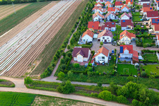 Bas-Rappenfeld à le quartier Mörlheim in Landau in der Pfalz dans le département Rhénanie-Palatinat, Allemagne d'en haut