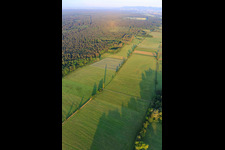 Vue aérienne de Les plaines d'Otterbach dans le Bienwald à Freckenfeld dans le département Rhénanie-Palatinat, Allemagne