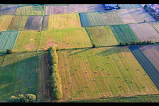 Vue aérienne de Balles de foin sur les prairies fauchées de l'Otterbachtal à le quartier Schaidt in Wörth am Rhein dans le département Rhénanie-Palatinat, Allemagne