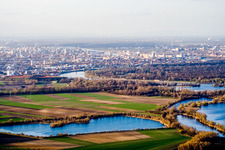 Vue aérienne de Vue sur la ville au bord du Rhin à le quartier Rheingönheim in Ludwigshafen am Rhein dans le département Rhénanie-Palatinat, Allemagne