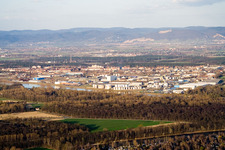 Vue aérienne de Lac forestier à Altrip dans le département Rhénanie-Palatinat, Allemagne