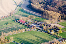 Vue aérienne de Altrip dans le département Rhénanie-Palatinat, Allemagne