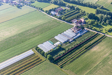 Vue aérienne de Dieter Schmeißer coupe vert à Vollmersweiler dans le département Rhénanie-Palatinat, Allemagne
