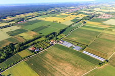 Vue aérienne de Serres d'une entreprise horticole à Vollmersweiler dans le département Rhénanie-Palatinat, Allemagne