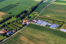 Vue aérienne de Serres d'une entreprise horticole à Vollmersweiler dans le département Rhénanie-Palatinat, Allemagne