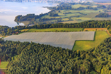 Vue aérienne de Verger de pommiers sous filets anti-oiseaux sur le Spittelsberg à le quartier Espasingen in Stockach dans le département Bade-Wurtemberg, Allemagne