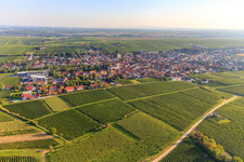 Vue aérienne de Bechtheim dans le département Rhénanie-Palatinat, Allemagne