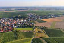 Photographie aérienne de Bechtheim dans le département Rhénanie-Palatinat, Allemagne